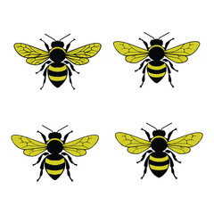 Set of honey and bee