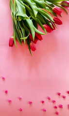 Elegant Red Tulips on a Soft Pink Background. A beautiful arrangement of fresh red tulips set against a pastel pink background, creating a delicate and romantic floral composition.