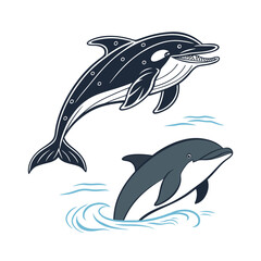 Marine mammals vector illustration. Underwater animal