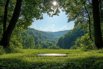Obraz premium Outdoor meditation space serene forest high fidelity environment tranquil nature scenic viewpoint mindfulness concept
