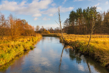 Fototapeta premium Radunia river flowing through the brown meadows. Kashubia, Pomerania, Poland.