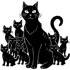 black and white cats