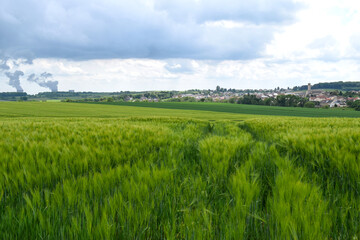 A lush green wheat field stretches towards the horizon, with the Cattenom nuclear power plant visible in the background under a cloudy sky.