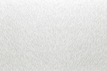 white textured surface, paper texture, grainy background, subtle pattern, minimalist, soft light, high resolution, detailed, abstract, monochrome