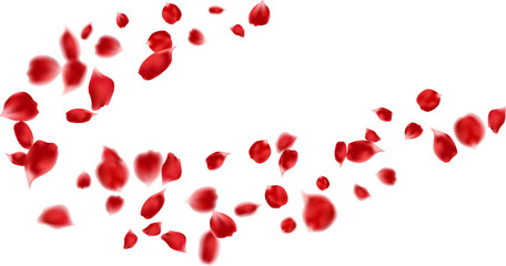 flying red rose petals. Flower decoration background, greeting card, Valentine's day