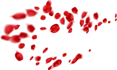 Floating flower petals Valentine's day vector illustration. Red rose petals symbols