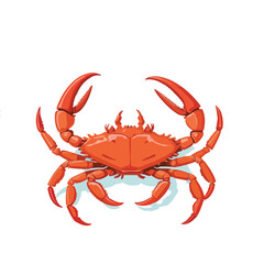 an alaska king crabs seafood isolated on white background