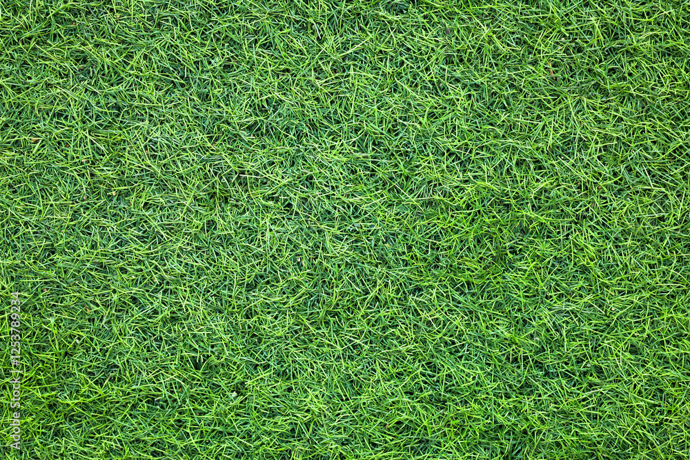Canvas Prints top view artificial grass background