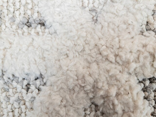 Hair strands on the carpet