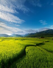 Obraz premium 春の田園風景 稲作の田んぼや野原が広がる風景。遠くに見える山々と空との間に広大な余白が確保され、自然な背景として利用可能。