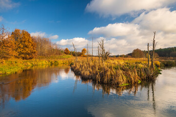 Radunia river bend. Small river flowing through the brown meadows. Kashubia, Pomerania, Poland.