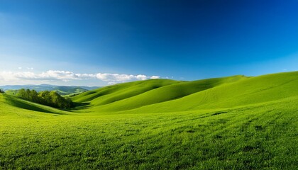 Obraz premium 新緑の丘と広がる空 若葉が一斉に芽吹く丘の風景。遠くに広がる明るい青空が大きなコピースペースとなり、シンプルな背景を演出。