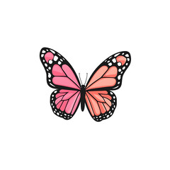 Obraz premium Vibrant Butterfly Illustration in Soft Pink and Black Design