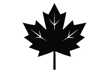 Fototapeta premium Silhouette vector illustration of a green maple leaf icon in flat style on a black and white background