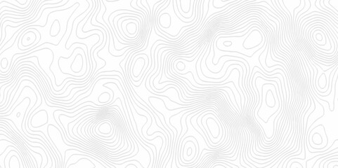 White topography topology vector white background fresh contour map texture. white seamless pattern Abstract background with a wave Topography and geography map grid abstract backdrop.