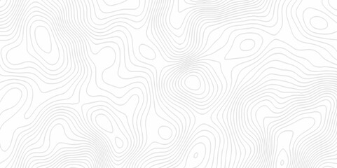 White topography topology vector white background fresh contour map texture. white seamless pattern Abstract background with a wave Topography and geography map grid abstract backdrop.