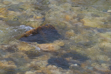 Steine in klarem Wasser Fluss 