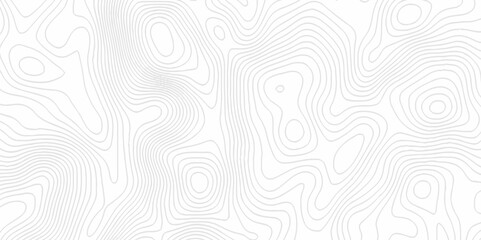 White topography topology vector white background fresh contour map texture. white seamless pattern Abstract background with a wave Topography and geography map grid abstract backdrop.