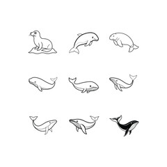 Fototapeta premium a set of sea animals vector illustration.