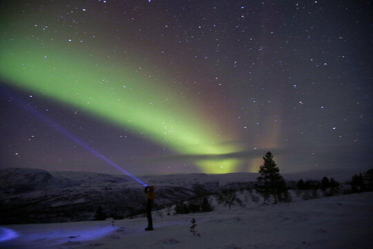 Man with torch under the northern lights from Gapherus (Nordreisa). Northern Norway.