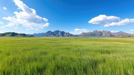 Fototapeta premium Vast Grassy Plains Stretch to Mountain Range Under a Sunny Sky. Possible use Stock photo for nature, travel, or landscape design