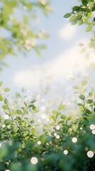 A soft, dreamy blend of natural greenery and a bright summer sky with bokeh accents.