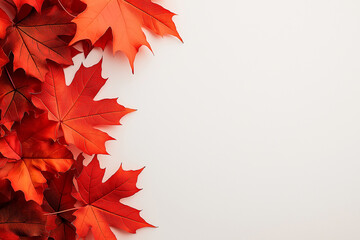 Close up of vibrant orange maple leaves on light background, showcasing beauty of autumn foliage. leaves create warm and inviting atmosphere