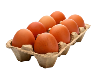 Fresh hen eggs arranged neatly in egg tray box on white transparent background, natural, realistic appearance, studio light enhancing textures, soft shadows creating vibrant, clean, crisp look, highli