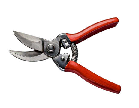 Pruning shears, white transparent background, natural, realistic, studio light, sharp, durable, ergonomic, professional, gardening, tool, stainless, steel, clean, precise, strong, lightweight, comfort