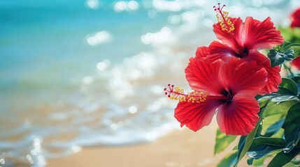 Vibrant Hibiscus Blooms Amidst Sandy Beach and Blue Ocean Your Ultimate Vacation Escape Maui Hawaii