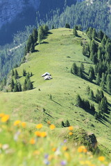 Alpages dans les Dolomites