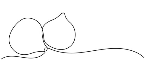 Continuous line drawing of a flower in a pot. Beautiful flower Isolated on a white background. Vector illustration, Single one line drawing whole healthy organic figs for orchard logo identity fresh.