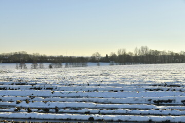 Terrain enneigé sous un ciel bleu, en pleine campagne à Écaussinnes d'Enghien (Hainaut) 