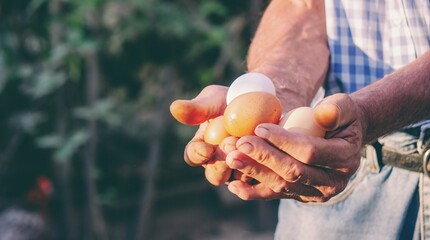 Farmer Hands Holding Fresh Eggs