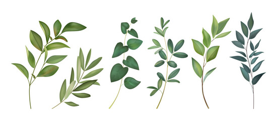 Watercolor leaf. Green flower leaves, watercolour plant branch, wedding tree elements for invitation design. Greenery foliage painting. Natural eucalyptus, spring twig. Vector isolated set