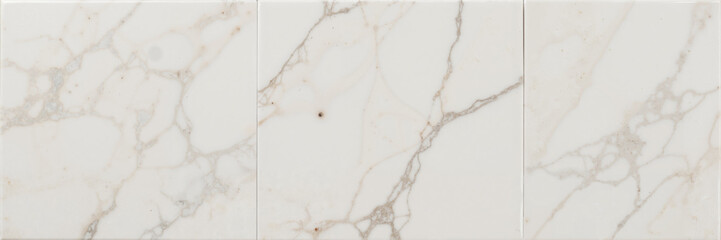 White marble glossy tiles with natural veining pattern
