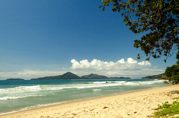 beach view at sunny day