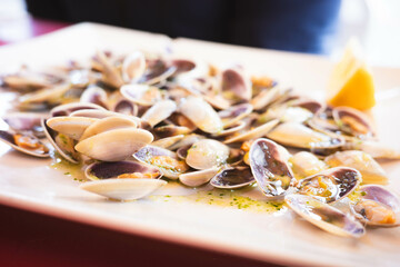 Freshly prepared clams dish on a white plate