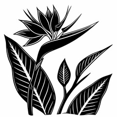 creative clean silhouette flower icon vector illustration