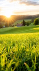 Sunset over rolling green hills, farmhouse. Peaceful rural scene, idyllic landscape