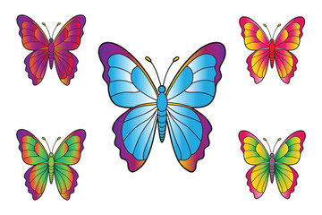 Fototapeta premium Butterfly set vector multi colored. 
