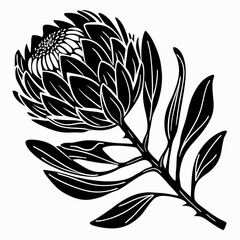 creative clean silhouette flower icon vector illustration