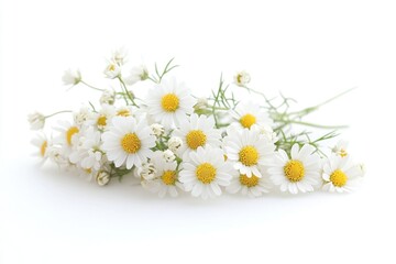 A collection of white and yellow flowers arranged on a white surface