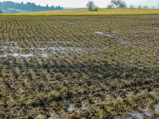Feuchter Ackerboden nach vielen Regenfällen