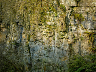 Gesteinsschichten im Muschelkalk