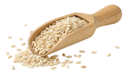 Pearled Barley in Wooden Scoop on Transparent Background, Isolated PNG