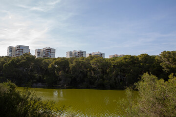 River in the Mediterranean vegetation of a natural park