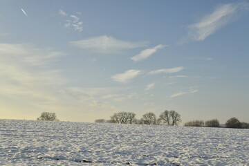 Arbres derrière une crête de colline sous la neige et quelque cirrus à Écaussinnes-d'Enghien...