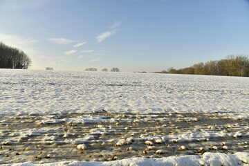 Eaux de fonte congelée dans un champ de patates sous la neige à Écaussinnes-d'Enghien (Hainaut)