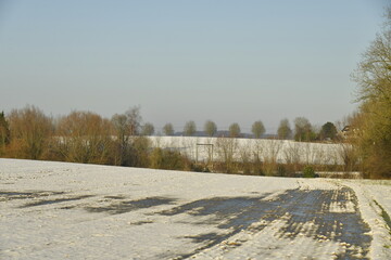 Eaux de fonte congelée dans un champ de patates sous la neige à Écaussinnes-d'Enghien (Hainaut)